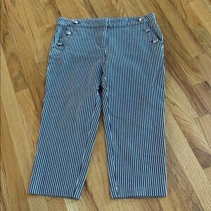 LOFT The Riveria Slim Navy and White Striped Pants, Nautical Panel, Size 8P
